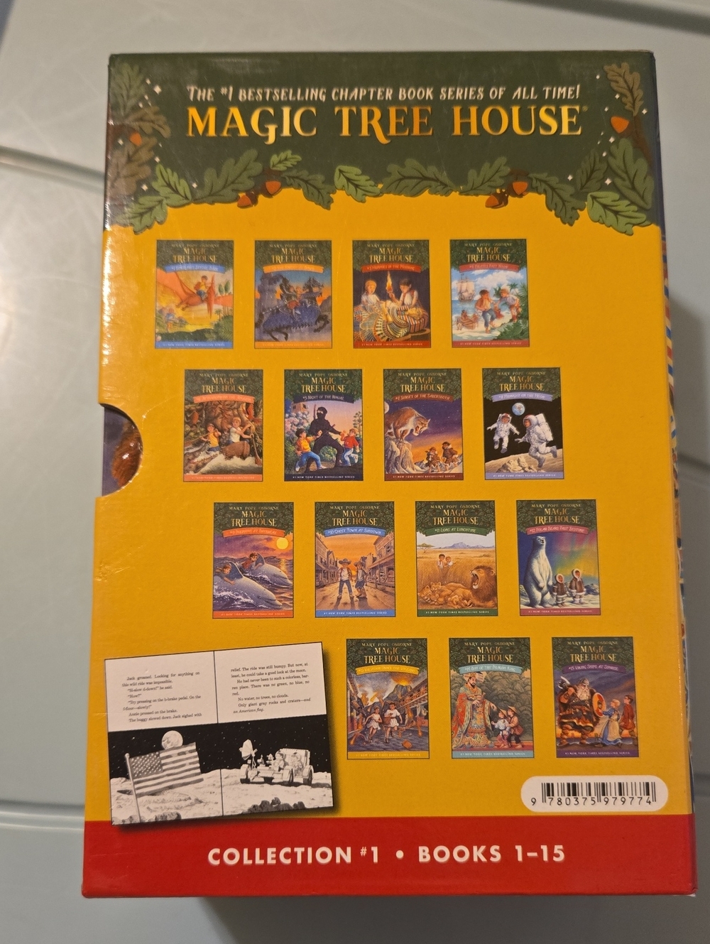 Magic Tree House - Picture 3 of 5